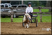 4H-2nd--072813-1456.jpg