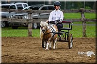4H-2nd--072813-1457.jpg