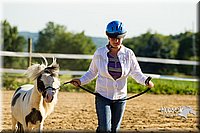 4H-2nd--072813-0056.jpg