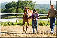 4H-2nd--072813-0077.jpg