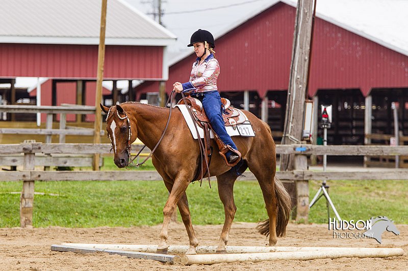 4H-2nd--072813-2063.jpg