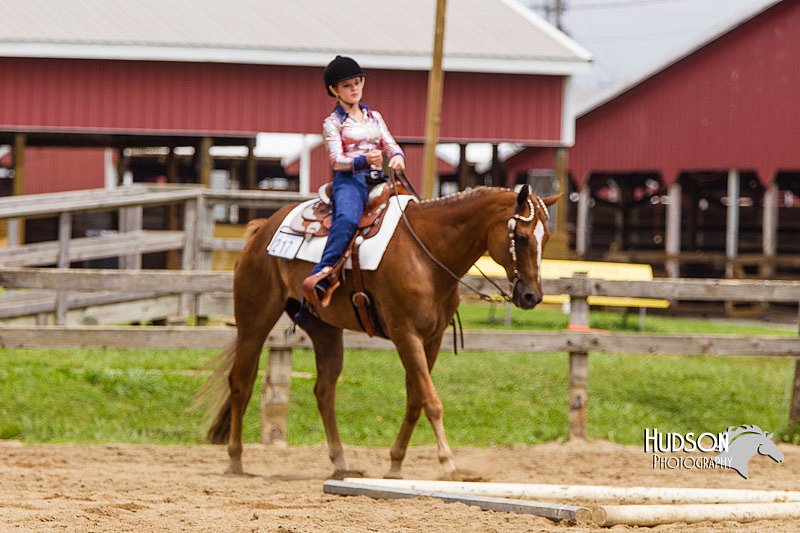 4H-2nd--072813-2064.jpg