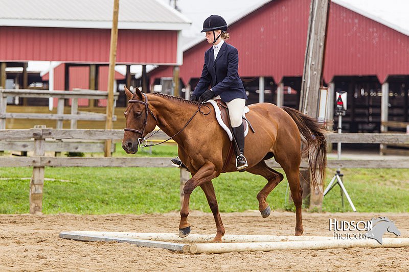4H-2nd--072813-2011.jpg