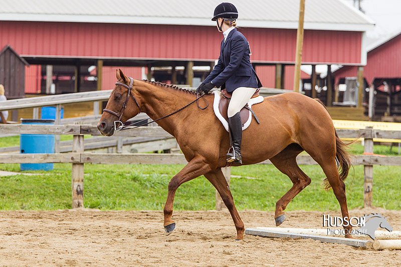 4H-2nd--072813-2012.jpg