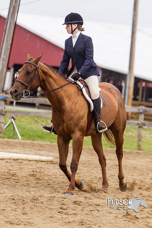 4H-2nd--072813-2014.jpg