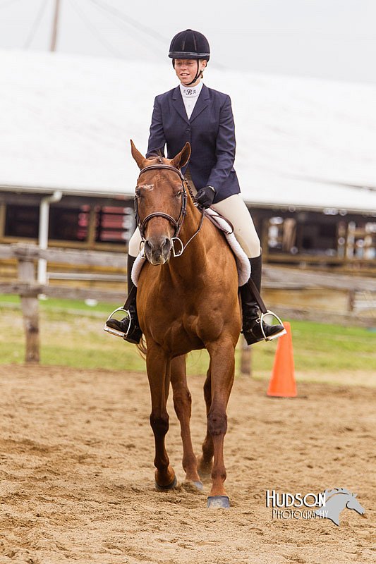 4H-2nd--072813-2015.jpg