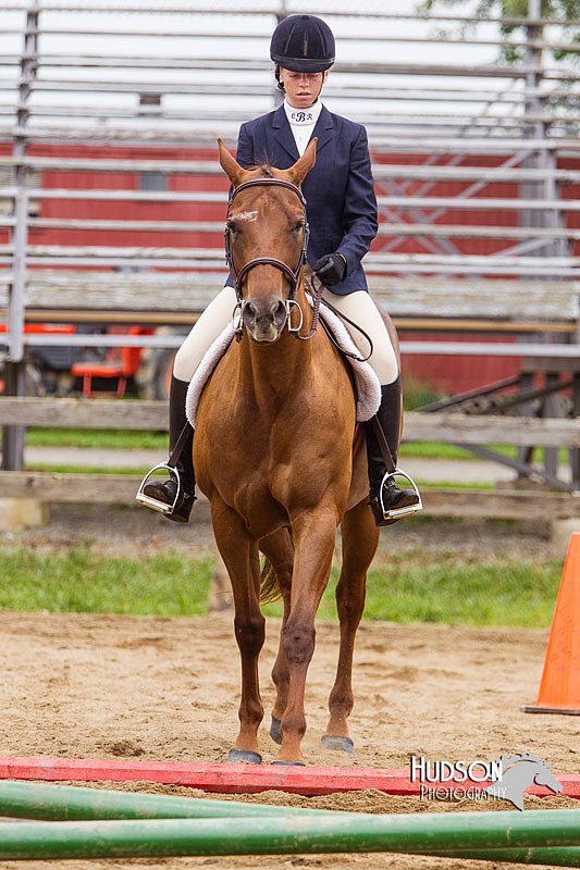 4H-2nd--072813-2017.jpg