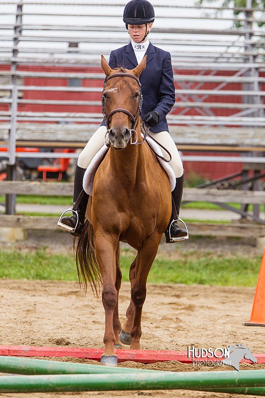 4H-2nd--072813-2018.jpg