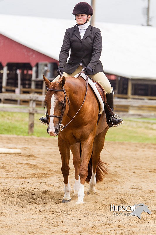4H-2nd--072813-2029.jpg