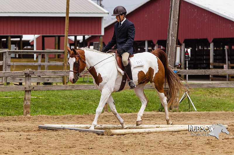 4H-2nd--072813-2035.jpg