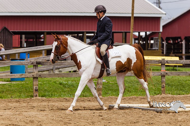 4H-2nd--072813-2036.jpg