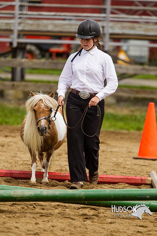4H-2nd--072813-1838.jpg