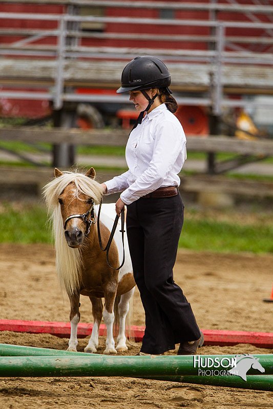 4H-2nd--072813-1839.jpg