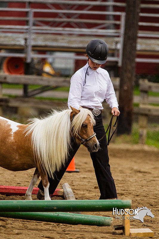 4H-2nd--072813-1840.jpg