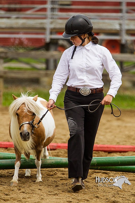 4H-2nd--072813-1842.jpg