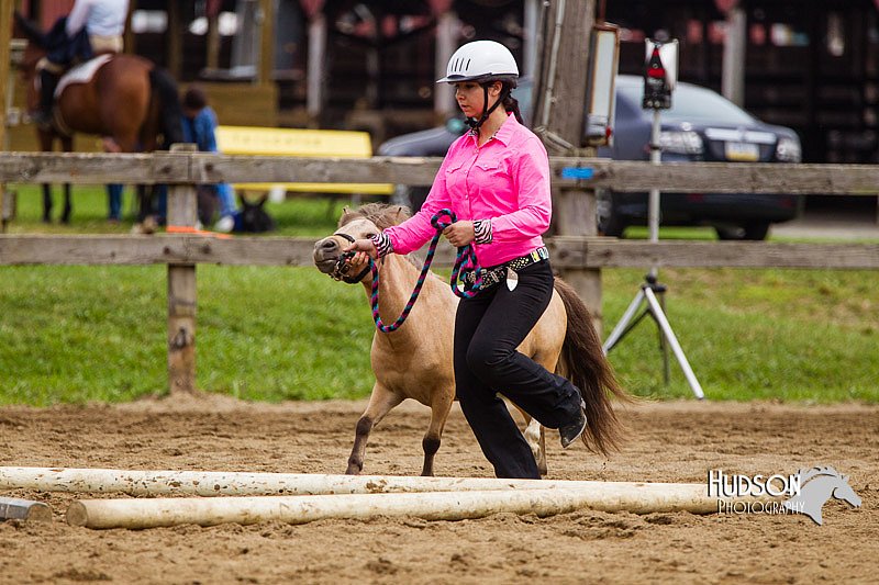4H-2nd--072813-1844.jpg