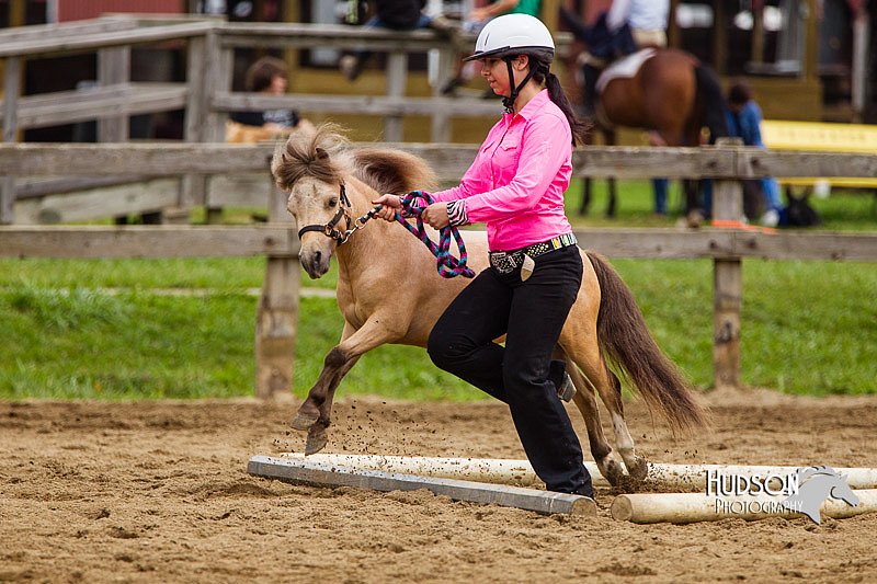 4H-2nd--072813-1846.jpg