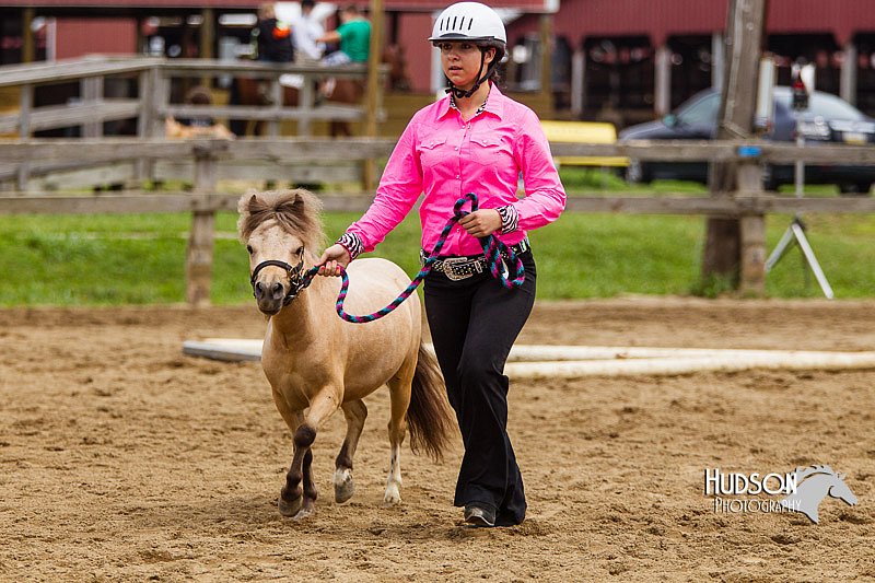 4H-2nd--072813-1851.jpg