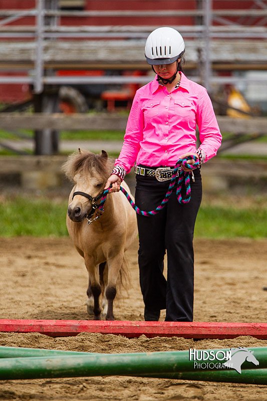 4H-2nd--072813-1852.jpg