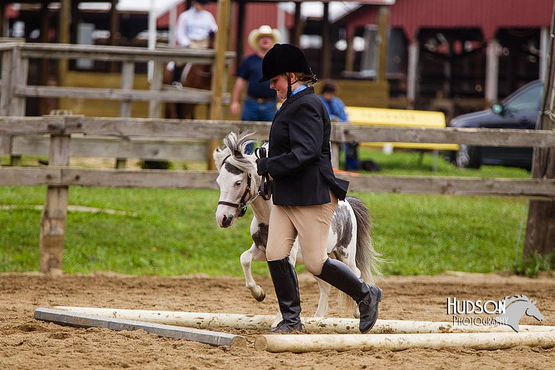 4H-2nd--072813-1858.jpg