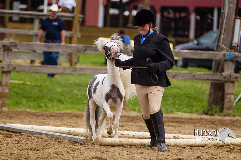 4H-2nd--072813-1861.jpg
