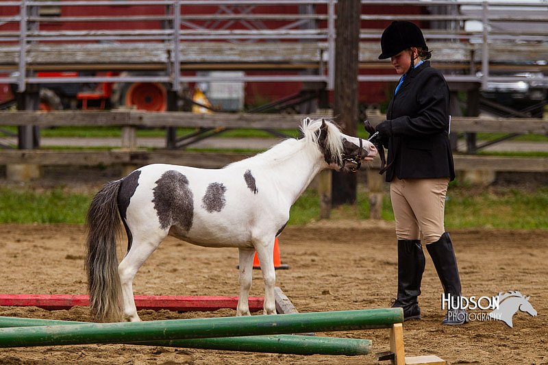 4H-2nd--072813-1867.jpg