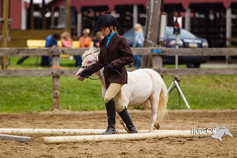4H-2nd--072813-1870.jpg