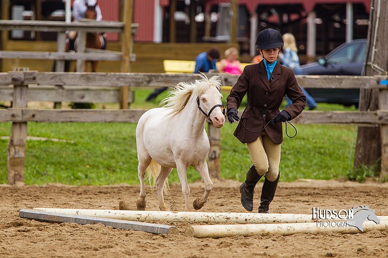 4H-2nd--072813-1873.jpg