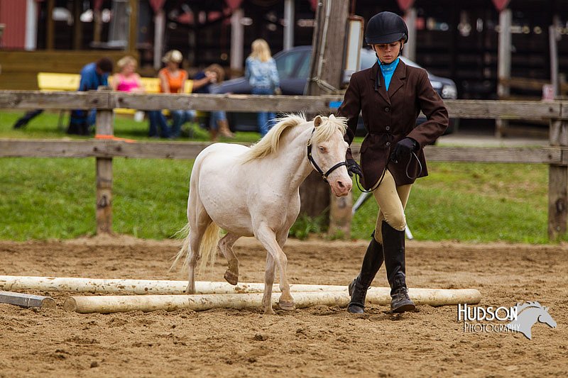4H-2nd--072813-1874.jpg