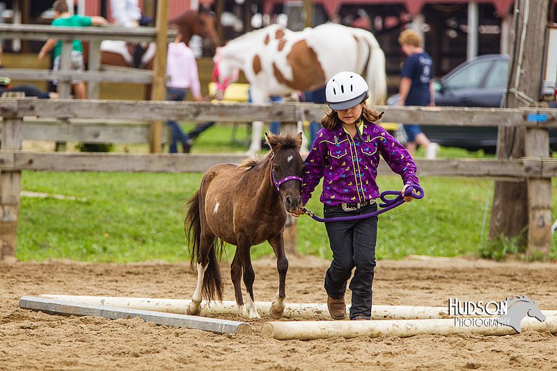 4H-2nd--072813-1900.jpg