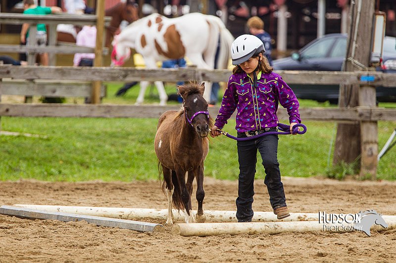 4H-2nd--072813-1901.jpg