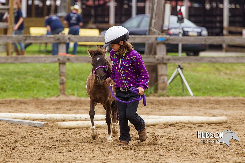 4H-2nd--072813-1902.jpg
