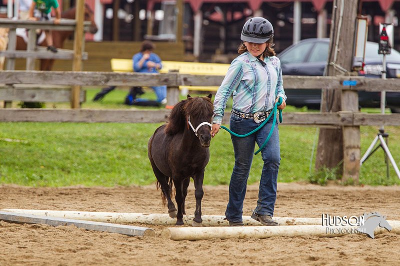 4H-2nd--072813-1910.jpg