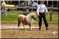 4H-2nd--072813-1833.jpg