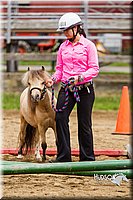 4H-2nd--072813-1855.jpg