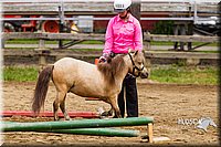 4H-2nd--072813-1857.jpg