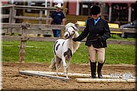 4H-2nd--072813-1860.jpg