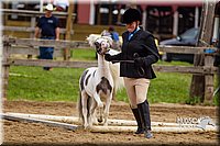 4H-2nd--072813-1861.jpg