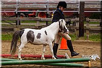 4H-2nd--072813-1865.jpg