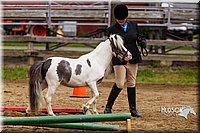 4H-2nd--072813-1866.jpg