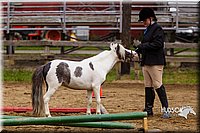 4H-2nd--072813-1867.jpg
