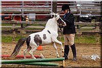 4H-2nd--072813-1868.jpg