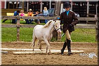 4H-2nd--072813-1874.jpg