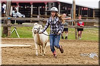 4H-2nd--072813-1890.jpg