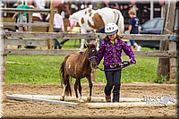 4H-2nd--072813-1900.jpg