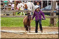 4H-2nd--072813-1901.jpg