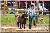 4H-2nd--072813-1911.jpg
