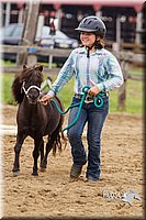 4H-2nd--072813-1913.jpg