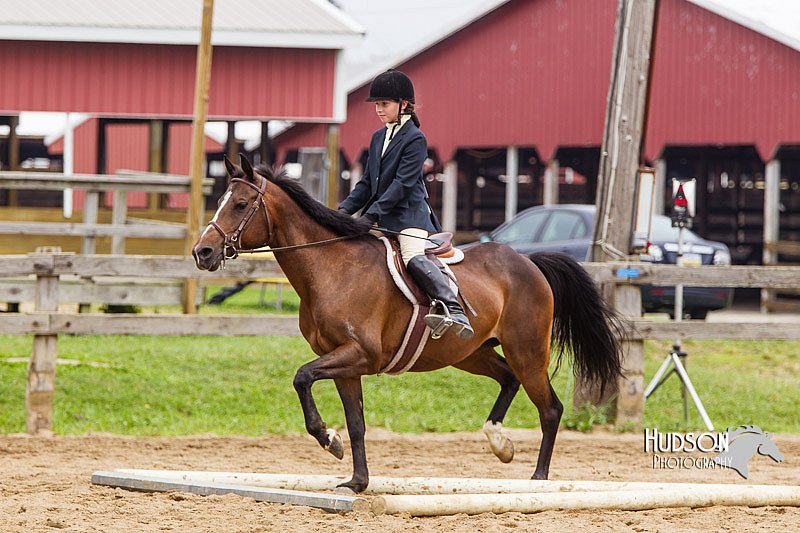 4H-2nd--072813-1950.jpg