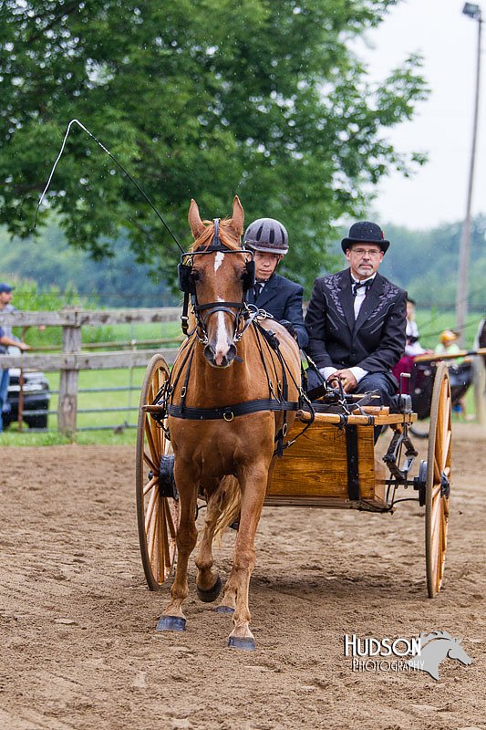 4H-2nd--072813-1463.jpg